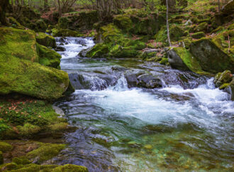 Wasserwege im Ostallgäu: Eine Tour entlang der Flüsse und Seen