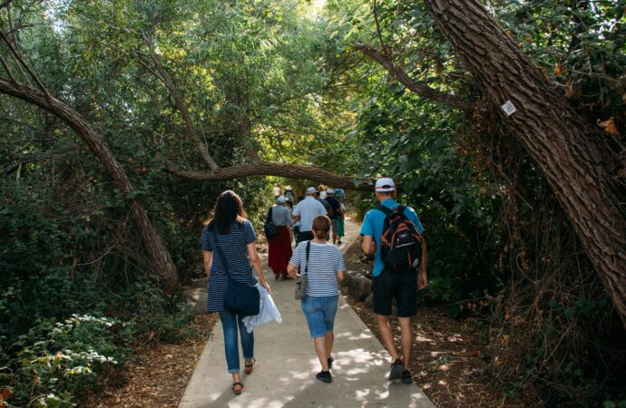 Richtiges Verhalten in der Natur: Tipps zur nachhaltigen Nutzung und zum Umweltschutz