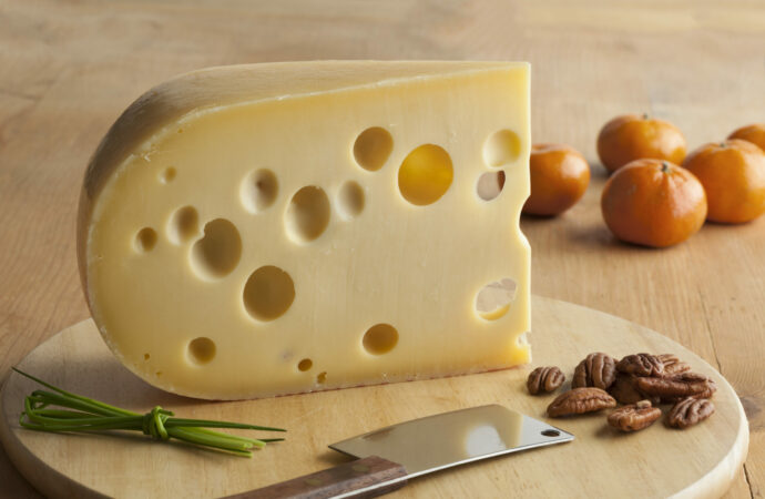 Allgäuer Käse: Eine Verkostungstour zu den besten Käsereien im Ostallgäu